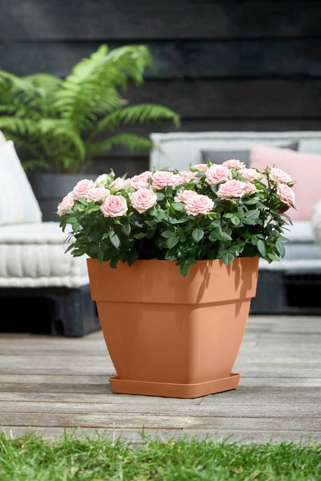 loft urban saucer square 28cm terra